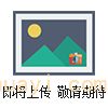 20734\35\36\37幹(gān)冰(bīng)運(yùn)輸數(shù)據(jù)溫(wēn)度(dù)記錄儀